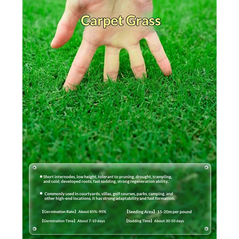 EverGreen™ TurfMaster Cold & Drought Resistant Lawn Seed