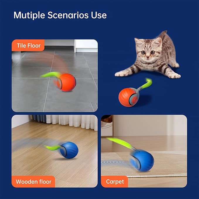 🐱 THE ULTIMATE INTERACTIVE TOY FOR CURIOUS CATS! 🐱