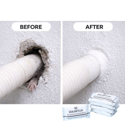 SealFix™ GapGuard Putty Multi-Purpose Crack & Hole Sealing Solution (30g)