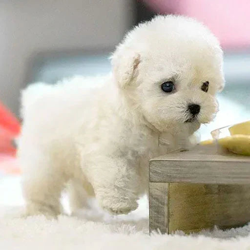 ๐ถ Ultra-Realistic Robotic Puppy Plush โ The Cutest Companion Ever! ๐ถ