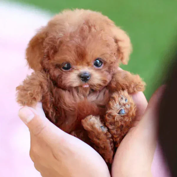 ๐ถ Ultra-Realistic Robotic Puppy Plush โ The Cutest Companion Ever! ๐ถ