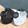 🎣 StealthCage™ Eel & Crabbing Fishing Trap