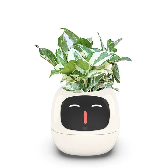 🌱 The Smart Planter That Brings Your Plants to Life! 🌿✨