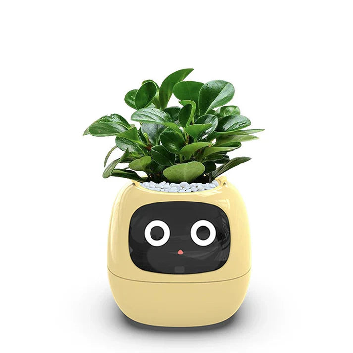 🌱 The Smart Planter That Brings Your Plants to Life! 🌿✨