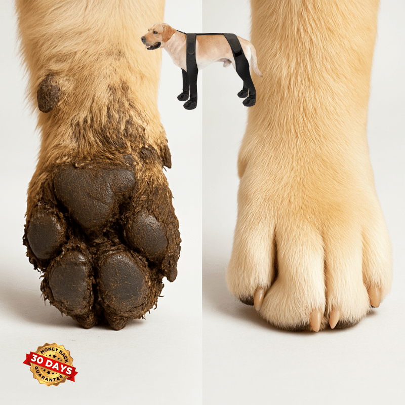 PawGuard™ Waterproof Anti-Slip Dog Boots