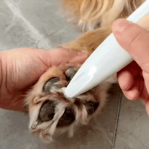 🐾 LED Pet Paw Trimmer – The Ultimate Grooming Tool for Your Furry Friend! 🐾